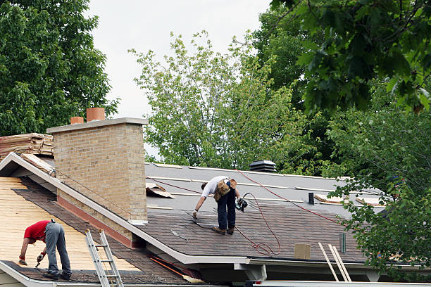 Best Roof Gutter Cleaning  in Troutman, NC